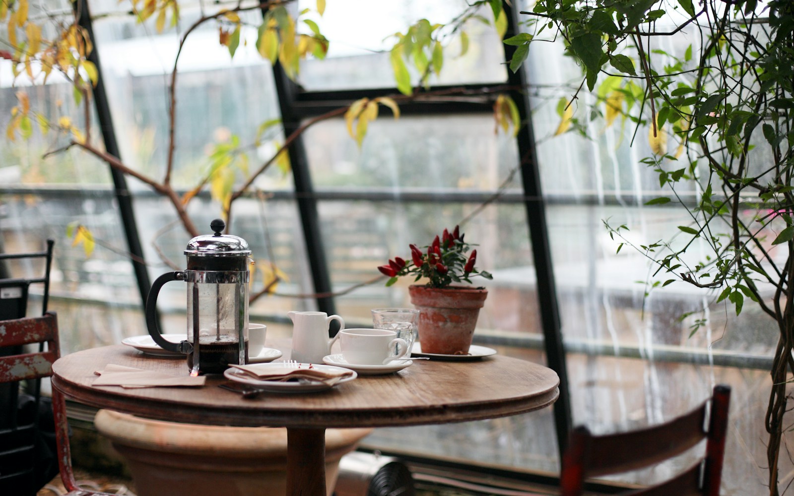 Morning light at Kotaro Cafee